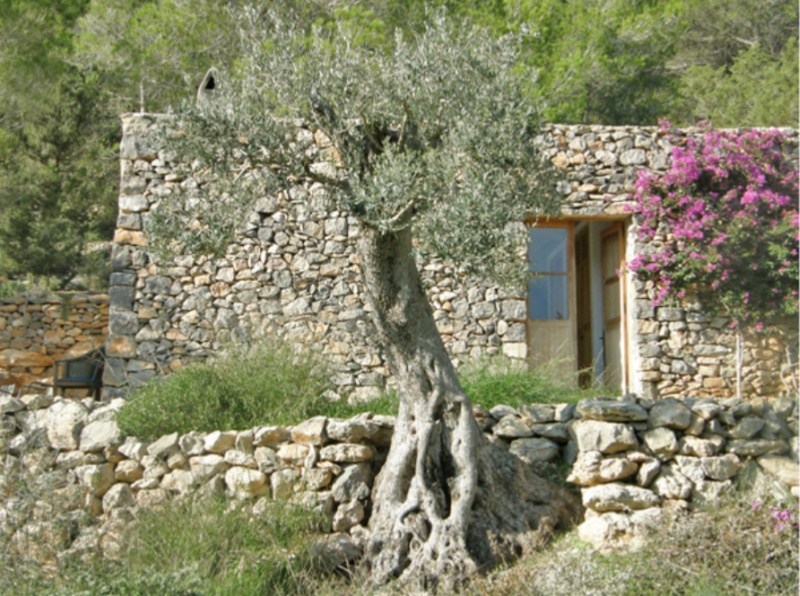Click here for details of rustic properties for sale in italy.