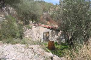 Click here for details of rustic properties for sale in italy.